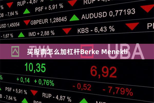买股票怎么加杠杆Berke Menekli