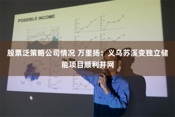 股票泛策略公司情况 万里扬：义乌苏溪变独立储能项目顺利并网