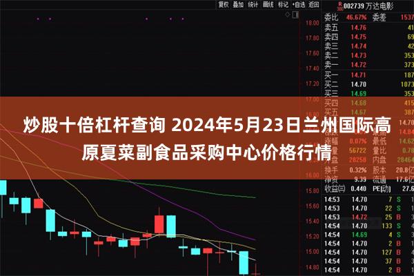 炒股十倍杠杆查询 2024年5月23日兰州国际高原夏菜副食品采购中心价格行情