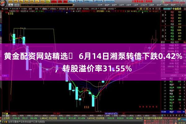 黄金配资网站精选	 6月14日湘泵转债下跌0.42%，转股溢价率31.55%