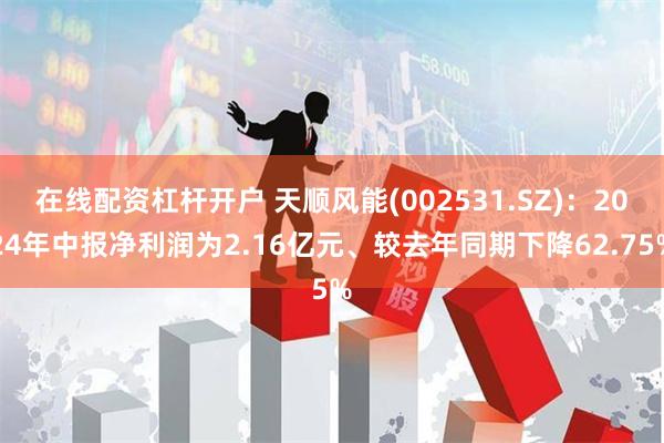 在线配资杠杆开户 天顺风能(002531.SZ)：2024年中报净利润为2.16亿元、较去年同期下降62.75%